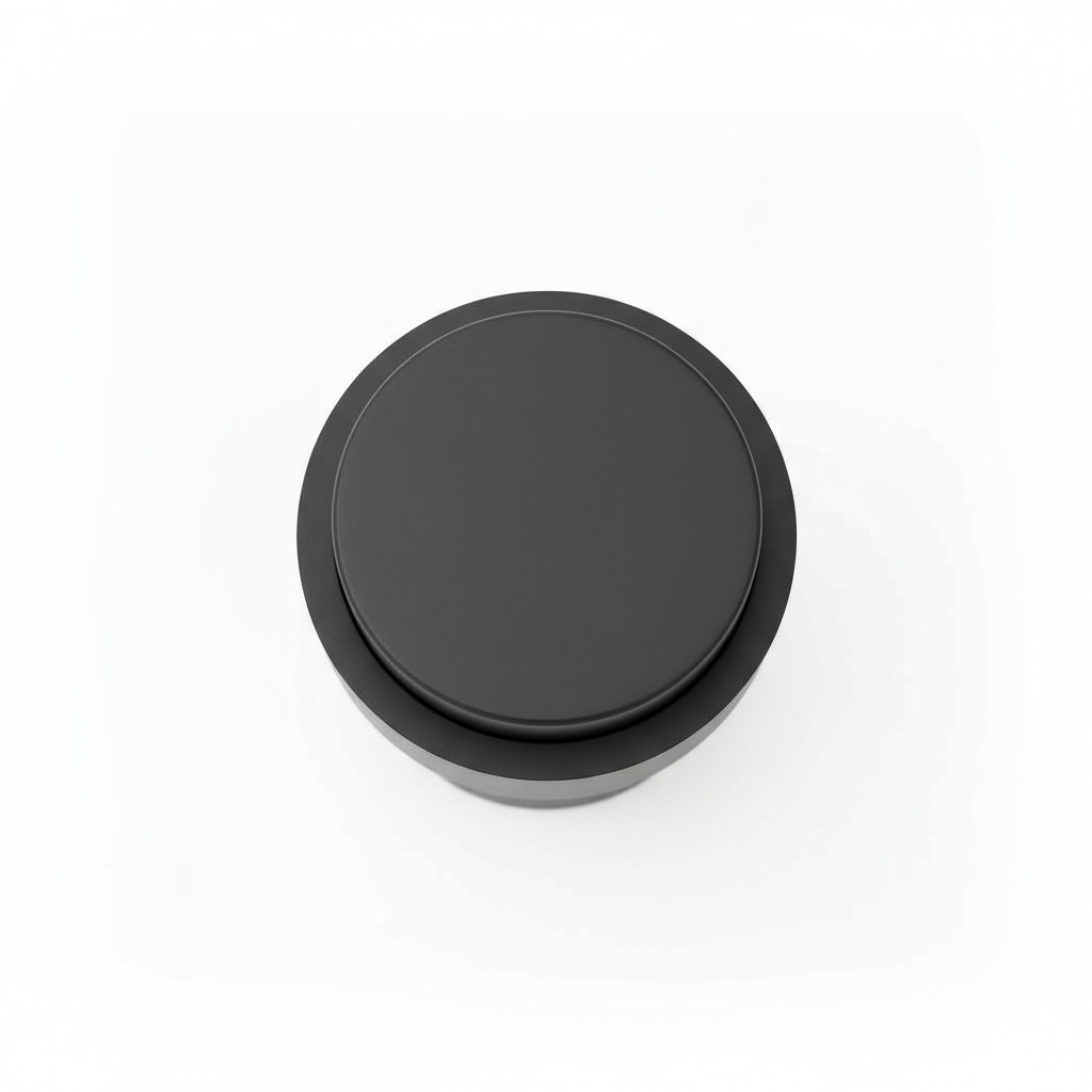 Silverline DS11 | Solid Stainless-Steel 304 Doorstop in Matte Black